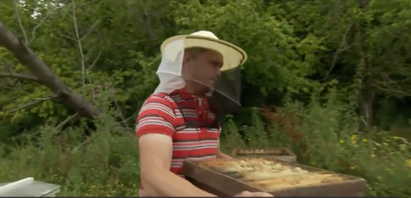 這就是尼泊爾採蜜人：懸在100米高空，被遮天蔽日的蜜蜂爬滿衣服