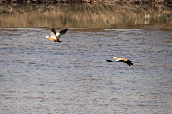 如果有時間,你會來看一看我吧…… 如果有時間,你會來看一看我吧……