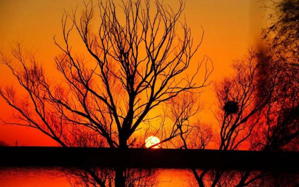 袁新錄｜人間仙境莊上許亭