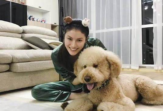 巨型貴賓犬的毛髮護理小技巧,保持柔順不是夢 巨型貴賓犬的毛髮護理小技巧,保持柔順不是夢
