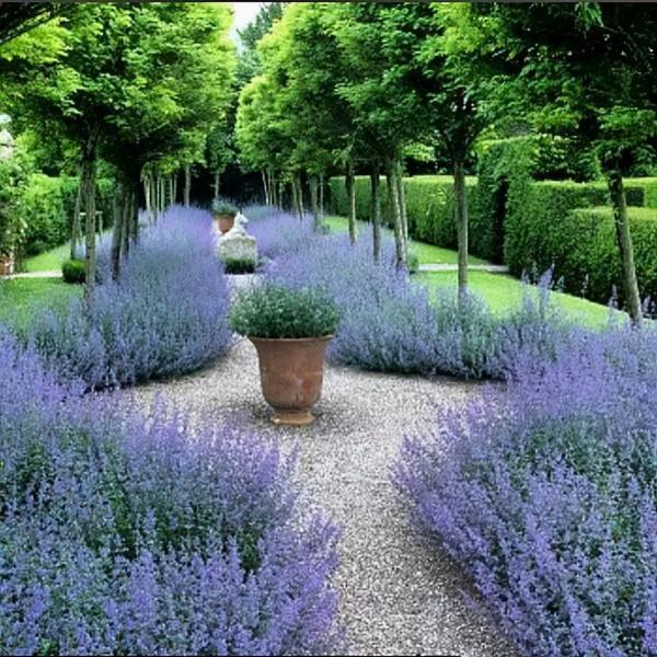 花園鑲邊，增加植物層次，豐富花園景觀