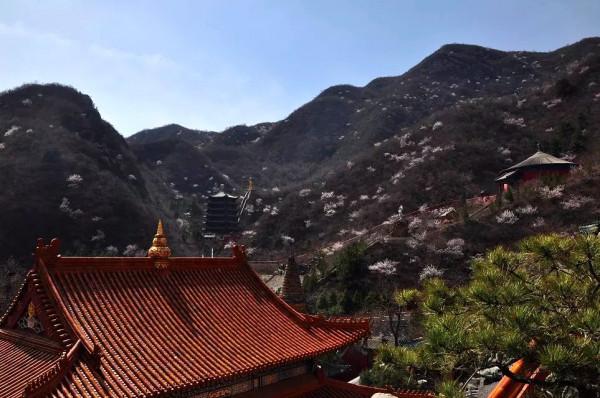 雁翅遊記（雁翅賦）