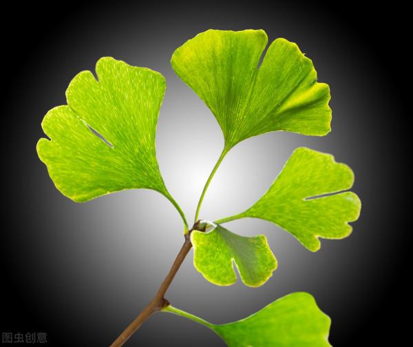 對心腦血管疾病有療效的中成藥（二）