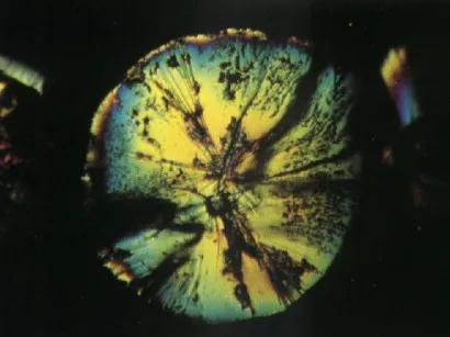 橄欖石的鑑定---王建泉