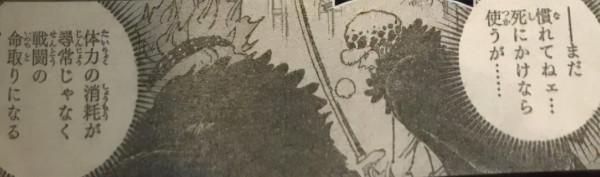 海賊王:基德和羅不講武德,明明早就覺醒果實,卻專挑老太婆下手 海賊王:基德和羅不講武德,明明早就覺醒果實,卻專挑老太婆下手