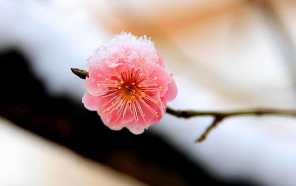 冬寒竟如此 凍吟成此詩，十首苦寒詩詞，感受詩人筆下的冬天有多冷