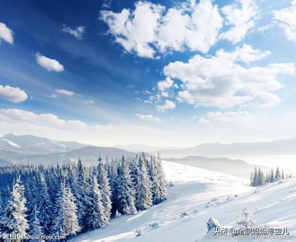 分享——雪松美景