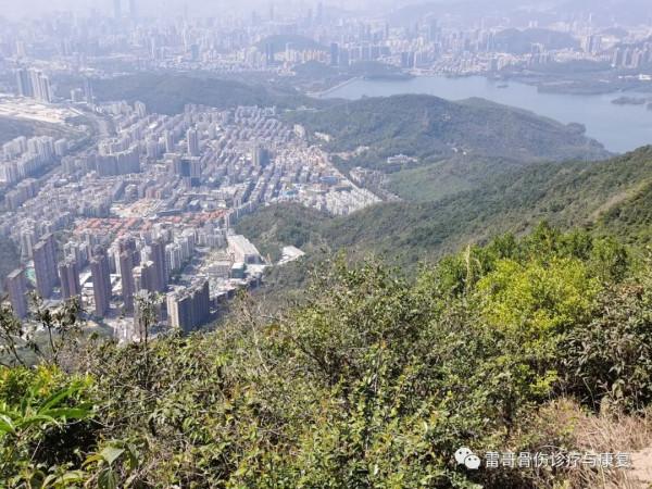 雷人雷語：百病由因生，萬惡淫為首