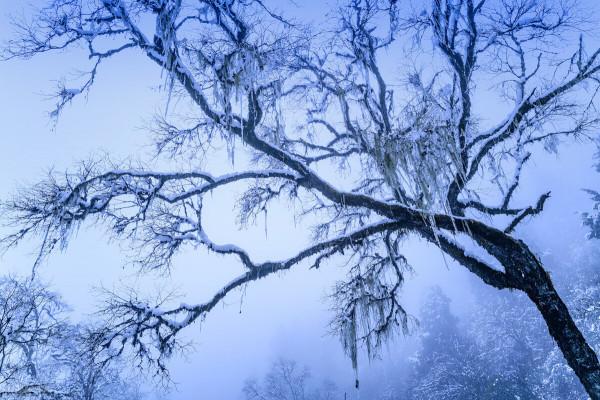 12月去哪玩?這8個美如畫卷的小眾打卡地,一到冬天就美成了仙境 12月去哪玩?這8個美如畫卷的小眾打卡地,一到冬天就美成了仙境