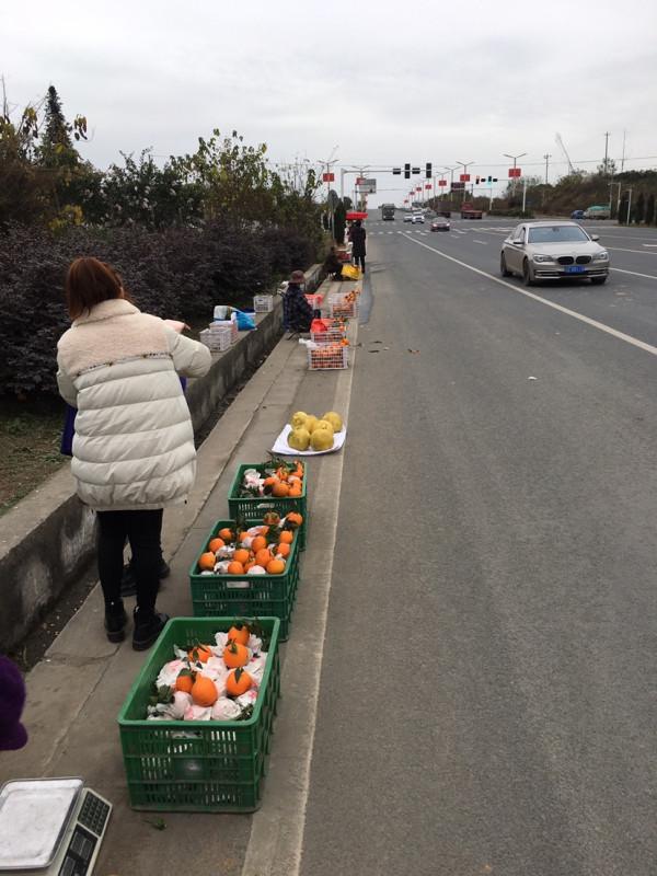 釣魚“奇”招數：磯竿滑漂遠投釣法，一招制勝