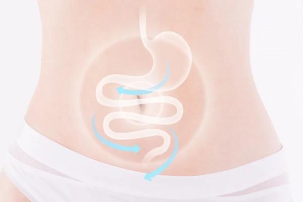 沒了胃,我要何去何從? 沒了胃,我要何去何從?