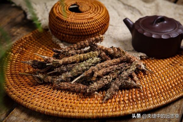 體檢查出結節怎麼治?送你四味中藥,軟堅散結,理氣化痰 體檢查出結節怎麼治?送你四味中藥,軟堅散結,理氣化痰