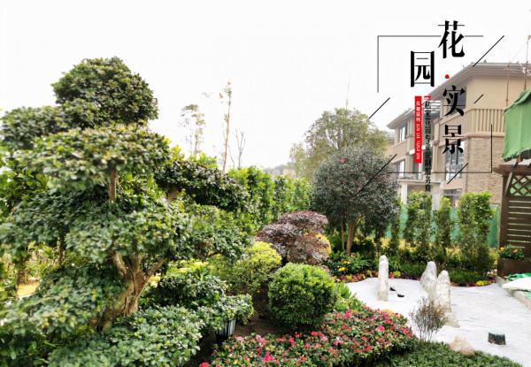 俊馳園林丨怎樣去種植和修剪好您的花園呢？