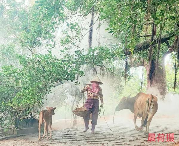 朋友圈2021年第31期