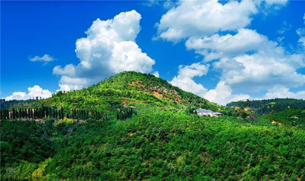 冬天必去的9個旅行地，背上心愛的相機，挑一個，現在就出發？