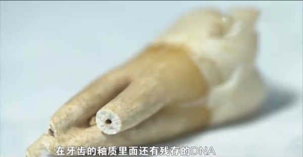 結婚9個月丈夫上戰場，妻子無兒無女等到94歲，2022年&OpenCurlyDoubleQuote;再相見&rdquo;