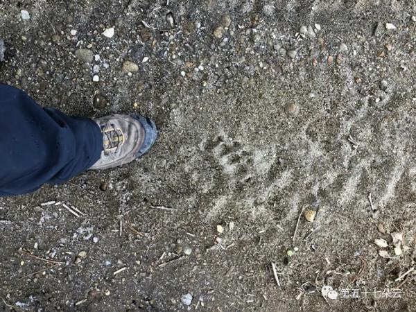 日本遊記第一篇（下），國後島三天，神秘而又滿滿的異國情調