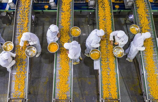 拿破崙時代發明的罐頭，為什麼在我國失寵了？