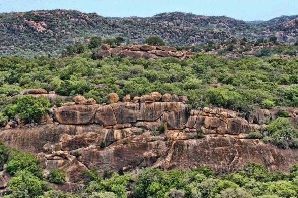 為什麼會有人說人類永遠無法馴化斑馬？馴化斑馬，究竟難在哪裡？