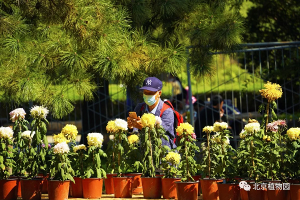 橙黃橘綠時,與您共相約 橙黃橘綠時,與您共相約