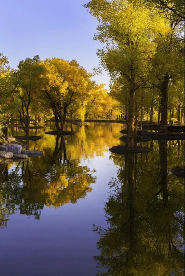 寒冬將至，在心裡重溫深秋的溫暖與美好