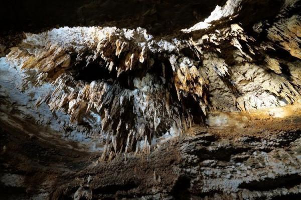 生命起源的終極答案，竟然是因為鐵元素？