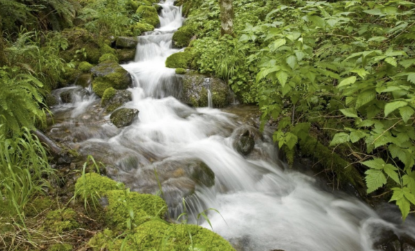 傲骨錚錚，意志力頑強的星座，寧可站著被打倒，也不會跪著求饒