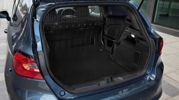 福特新款嘉年華系列釋出！全新前臉更時尚，全系小排三缸機