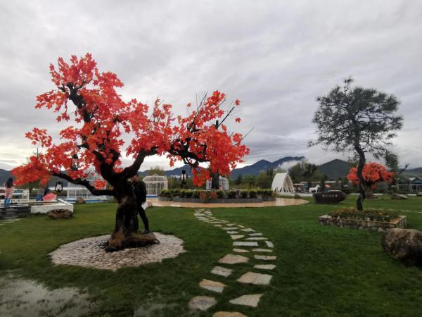 拍照勝地—拉市海湖濱公園（阿鄉哥）