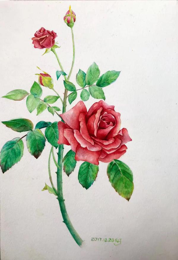 繪畫——因為熱愛所以堅持 繪畫——因為熱愛所以堅持