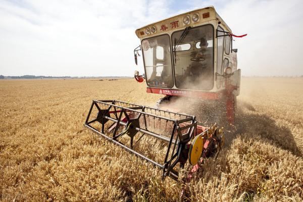 為真正調動農民種糧積極性 糧食直補該徹底改變了 為真正調動農民種糧積極性 糧食直補該徹底改變了