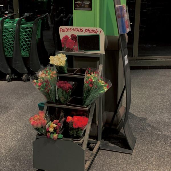 你被哪個句子治癒過