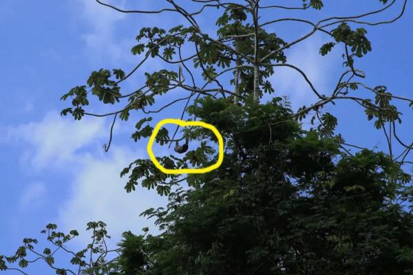 10年深度+豪華遊玩60國