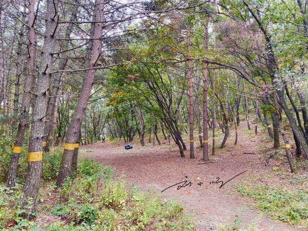 吉林省延吉市有一處免費4A級旅遊景區,遊客:這不就是個大公園? 吉林省延吉市有一處免費4A級旅遊景區,遊客:這不就是個大公園?