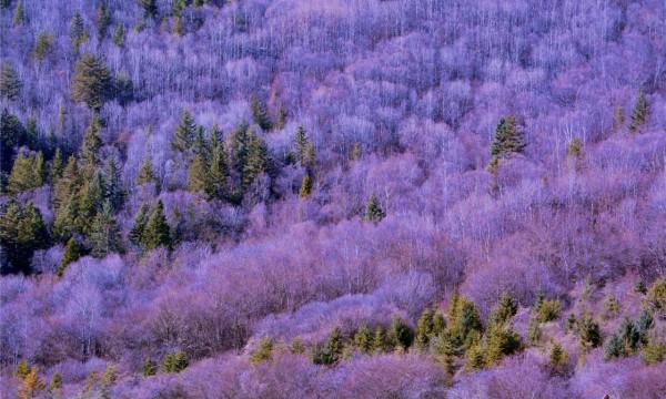 天上仙境在人間