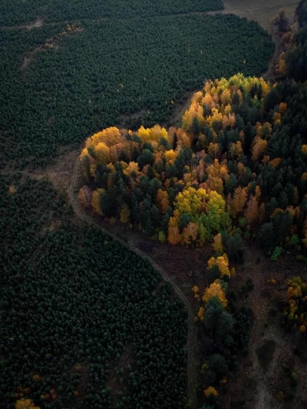蔣捷很憂鬱的一首詞，南宋滅亡後重遊江南，結尾2句被唱成流行歌
