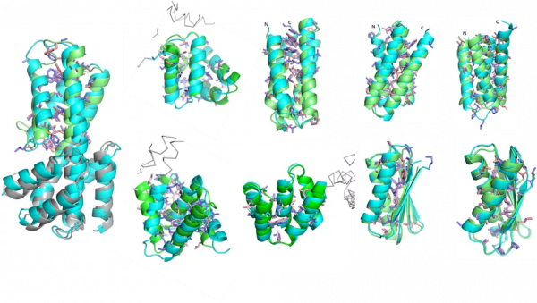 科技資訊｜工信部擬規定：對各類資料分級防護；我國小麥基因組編輯抗病育種取得突破