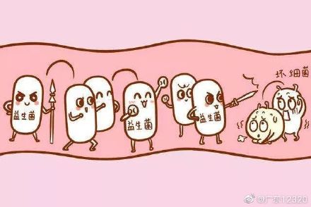 如何讓菌群重回平衡 如何讓菌群重回平衡