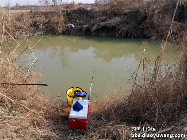 速凍模式，也能瀟灑走一回