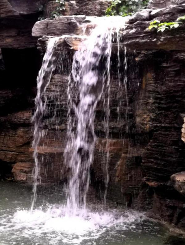 小園小景也入畫 小園小景也入畫