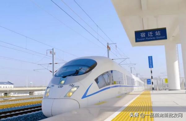 養了一批“包回收”的鴨子，我要用6年時間來“填坑”