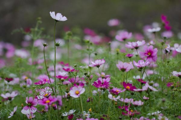 人到中年,遠離長期缺錢的人 人到中年,遠離長期缺錢的人