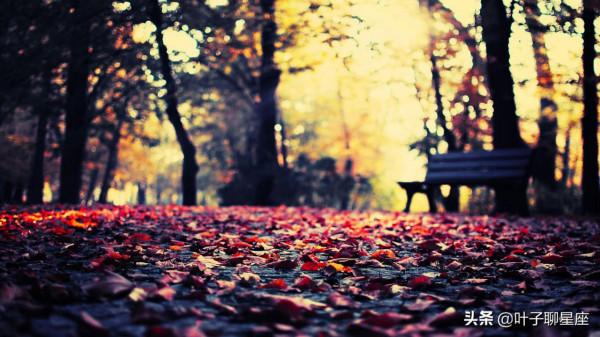 這些星座頭腦發達,能把愛好變成事業,也能把事業變成愛好 這些星座頭腦發達,能把愛好變成事業,也能把事業變成愛好