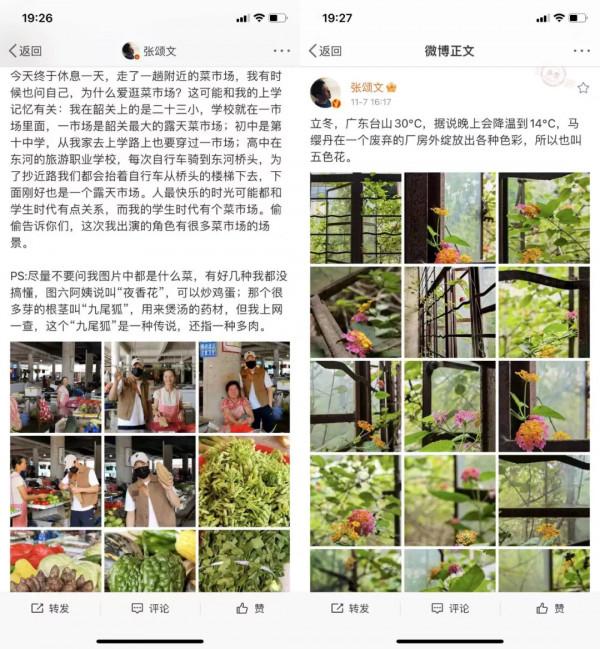 “明星+鄉村”的組合出圈，走下沉路線的藝人迎來新機遇