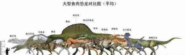 十大最強食肉恐龍 恐龍戰鬥力排名:棘龍、霸王龍、蠻龍 十大最強食肉恐龍 恐龍戰鬥力排名:棘龍、霸王龍、蠻龍