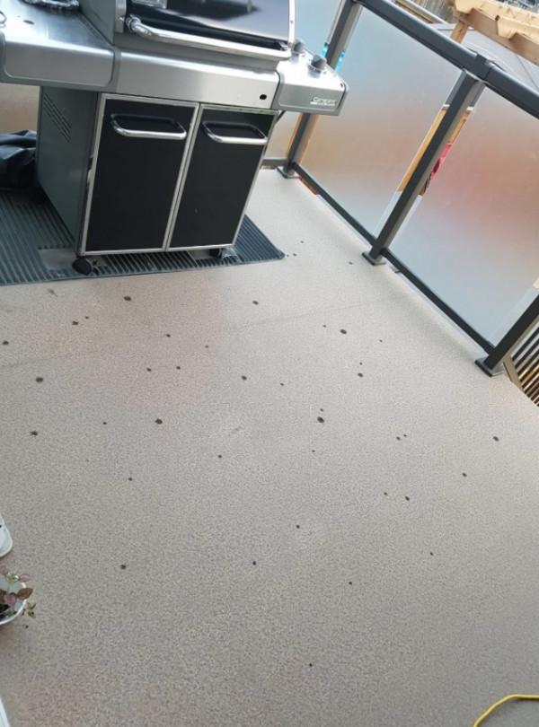 英國男子在花園散步,被飛機天降一潑屎澆一頭?這種倒黴事還不少 英國男子在花園散步,被飛機天降一潑屎澆一頭?這種倒黴事還不少