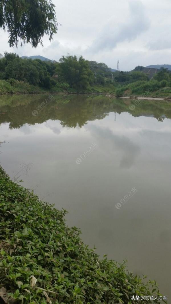 野釣搞遊擊，第一竿中魚，驚喜又刺激