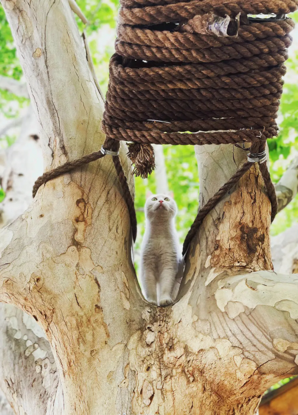 第二彈！終於攢夠了一波“可愛”照片