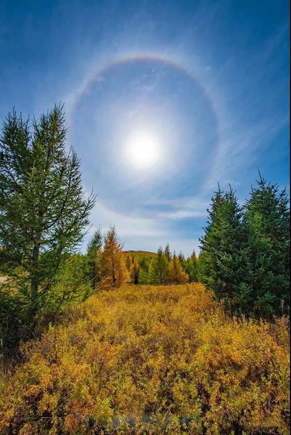 層林盡染的黃崗梁,許你一個秋天的童話 層林盡染的黃崗梁,許你一個秋天的童話