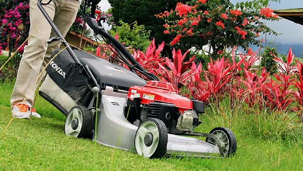 你為什麼愛本田?我有點理解了 你為什麼愛本田?我有點理解了